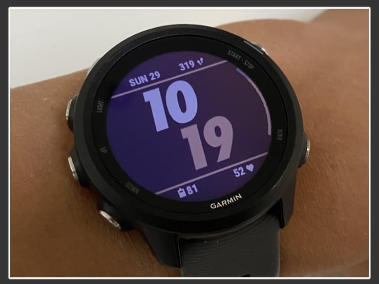 Garmin Watch Face